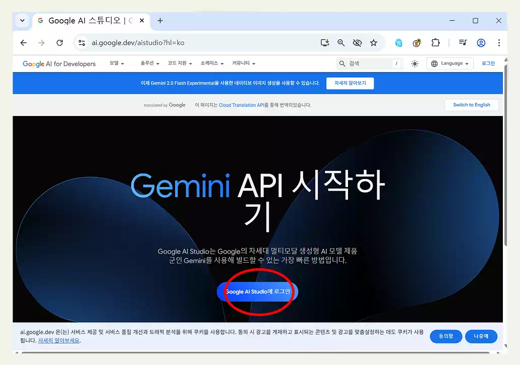 구글 Gemini 2.0_구글 제미나이 2.0_1Gemini 2.0 사이트